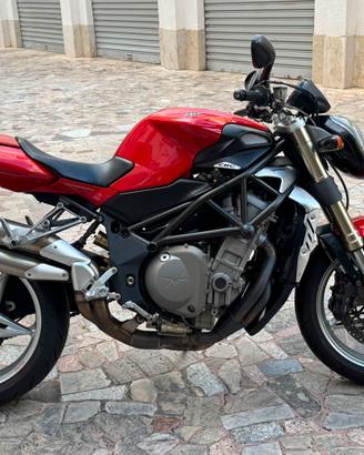Brutale 910S