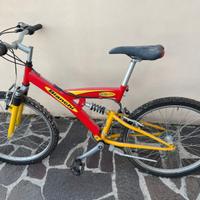 Bicicletta da adulto