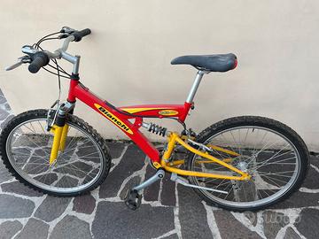 Bicicletta da adulto
