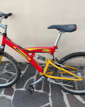 Bicicletta da adulto
