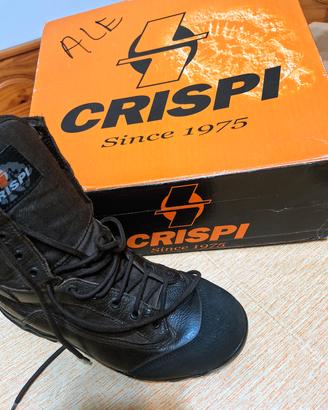 anfibi crispi