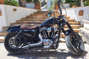 Harley davidson 48 special