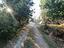Immagine 20