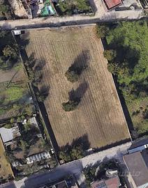 Terreno Agricolo - Grumo Nevano