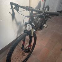 Scott scale 35 carbon