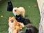Immagine 2