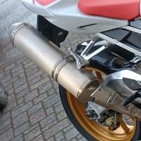 Doppio scarico per Aprilia Tuono V2 1000