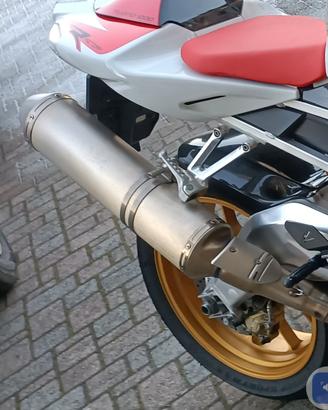 Doppio scarico per Aprilia Tuono V2 1000