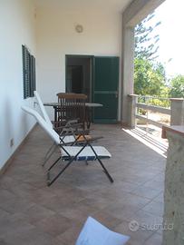 Elba Lacona appartamento bilocale con terrazzo