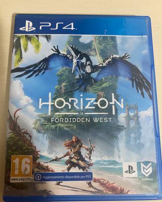Horizon