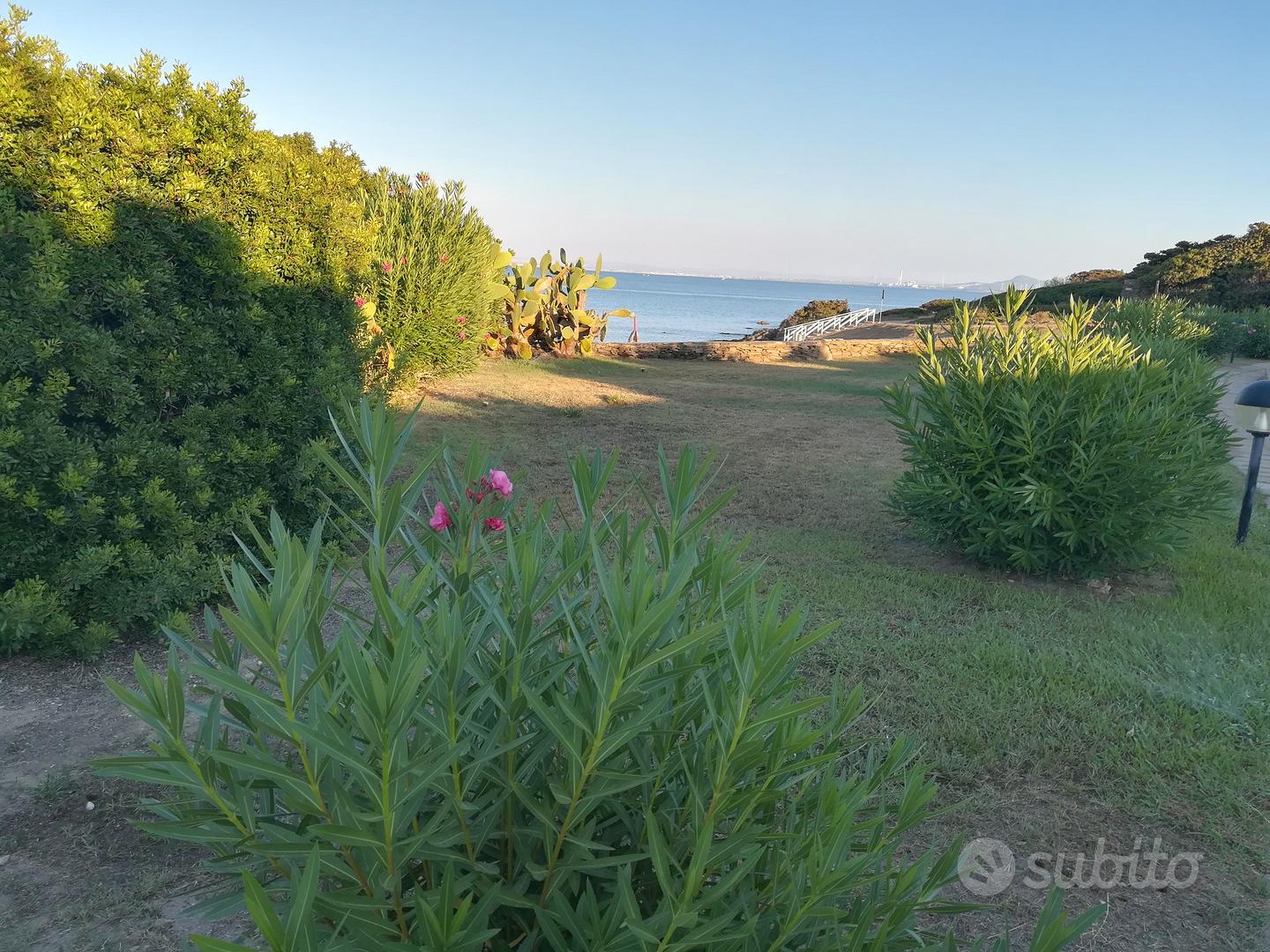 Appartamento – Isthintini/Stintino, Tàttari/Sassari - Altro