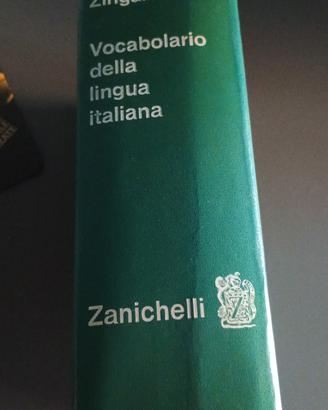 dizionari
