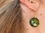 Immagine 5