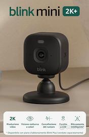 Blink Sync Module 2