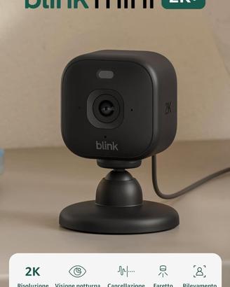 Blink Sync Module 2