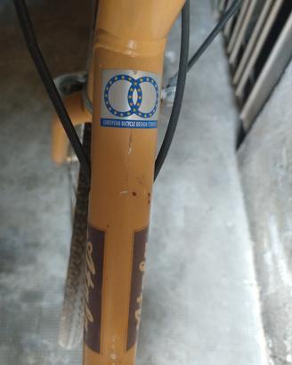 Bicicletta uomo