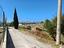 Immagine 16