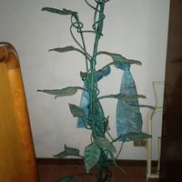 Struttura esposizione arredamento negozi giardino