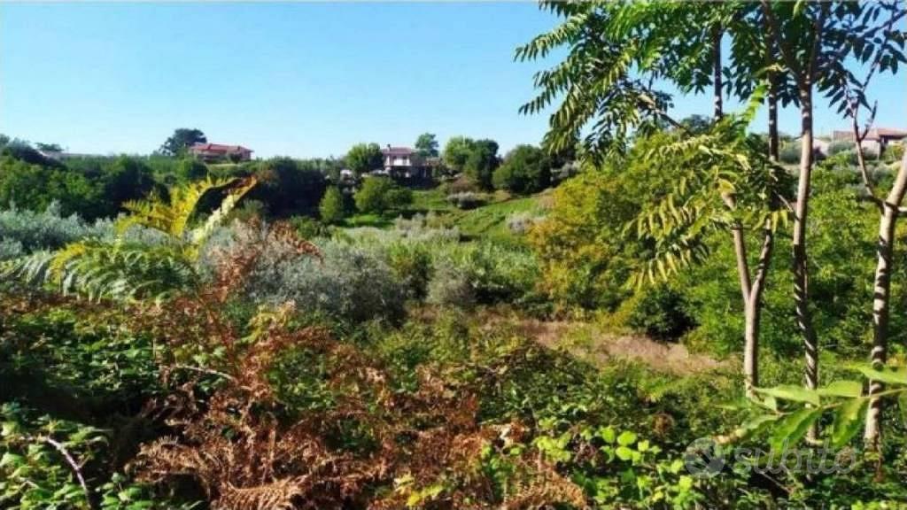 Immobile in asta di 13593 m² a Velletri - Vista 5