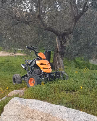 mini quad