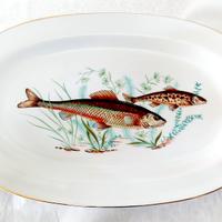 Servizio piatti in porcellana fine Richard Ginori.