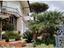 Immagine 8