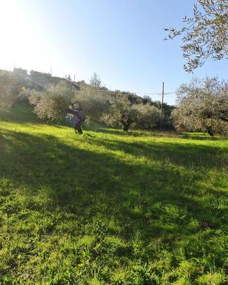 TERRENO AGRICOLO