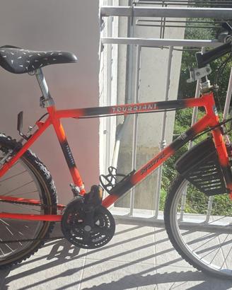 Bicicletta