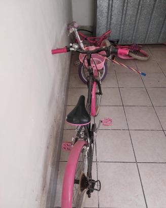Bicicletta femminile 20 pollici