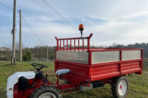 Motoagricola / trattore bertolini