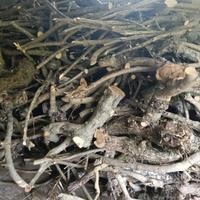 legna di ulivo 15/20 quintali 