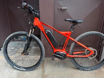 Ebike adriatica cicli