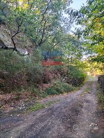 Terreno agricolo