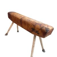 Cavallo per palestra