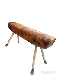 Cavallo per palestra