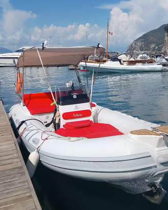 gommone Predator TS sei, 50