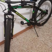 Bici mountain-bike