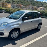 Fiat panda 2017