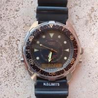 Casio Alarm Schwarzenegger