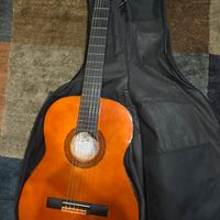 Chitarra acustica eko