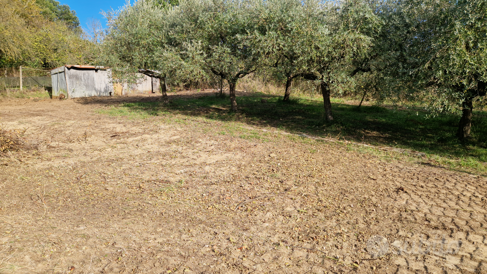Terreno + rustico di campagna sanato civile abitaz - Vista 4