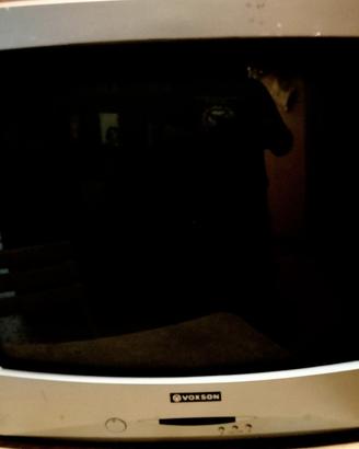 televisore 25"