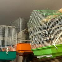 Gabbiette per uccellini