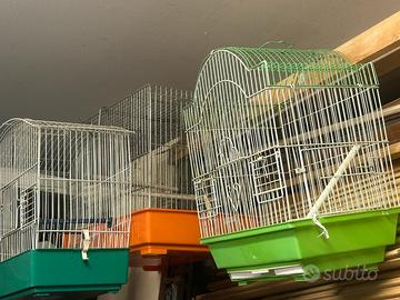 Gabbiette per uccellini