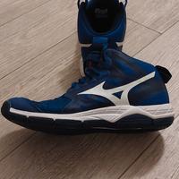 Scarpe Volley Mizuno