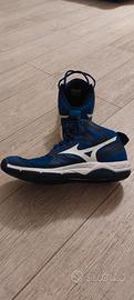 Scarpe Volley Mizuno