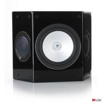 Diffusore monitor audio rxfx