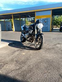 honda hornet 600