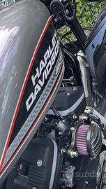 Harley davidson 883R