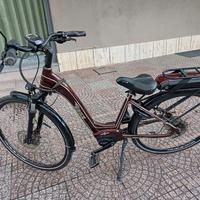 bicicletta elettrica 